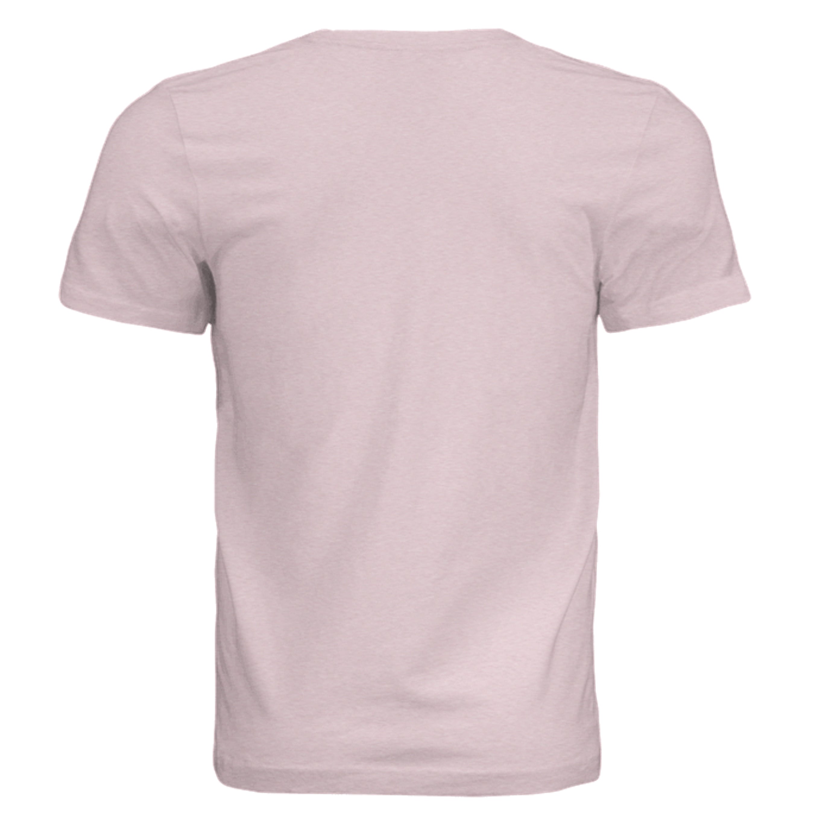 Pink Triblend - 3413C - BACK